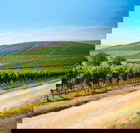 Full Day Tamar Valley Wine Tour - Accommodation ACT