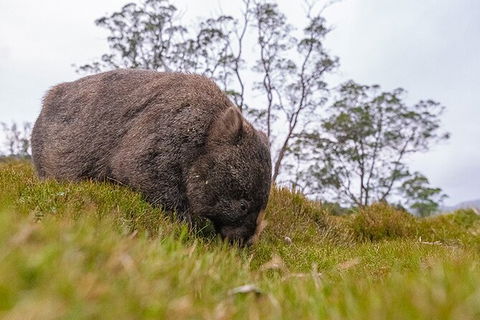 3-Day Cradle Mountain Photography Workshop - Accommodation ACT 7