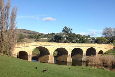 Private Bonorong Wildlife Sanctuary And Richmond 5 Hour Trip From Hobart - Accommodation ACT 1