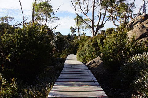 Mount Field National Park - Tarn Shelf & Russell Falls - Guided Hiking Tour - Accommodation ACT 5