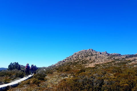 Mount Field National Park - Tarn Shelf & Russell Falls - Guided Hiking Tour - Accommodation ACT 6