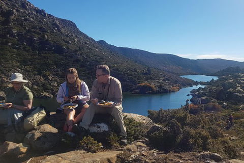 Mount Field National Park - Tarn Shelf & Russell Falls - Guided Hiking Tour - Accommodation ACT 8