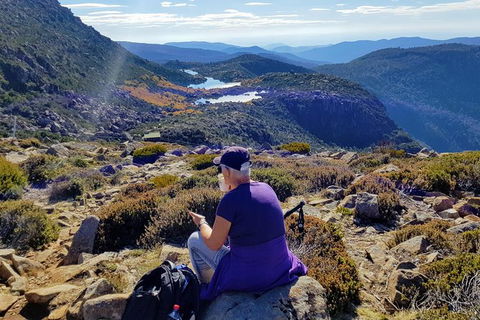 Mount Field National Park - Tarn Shelf & Russell Falls - Guided Hiking Tour - Accommodation ACT 11