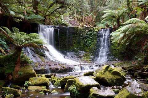 Mount Field National Park - Tarn Shelf & Russell Falls - Guided Hiking Tour - Accommodation ACT 10