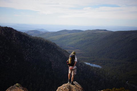 Mount Field National Park - Tarn Shelf & Russell Falls - Guided Hiking Tour - Accommodation ACT 12