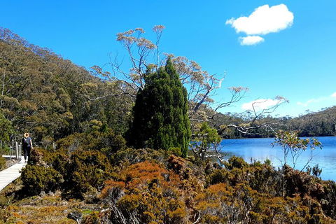 Mount Field National Park - Tarn Shelf & Russell Falls - Guided Hiking Tour - Accommodation ACT 3