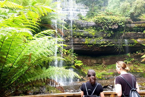 Mount Field National Park - Tarn Shelf & Russell Falls - Guided Hiking Tour - Accommodation ACT 4