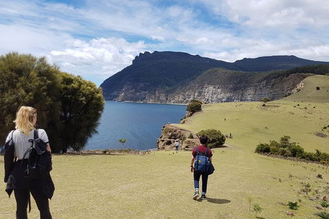 3-Day: Hobart Nature Walking Tour: Maria Island, Cape Raoul & Mount Field - Accommodation ACT 3