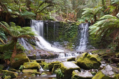 3-Day: Hobart Nature Walking Tour: Maria Island, Cape Raoul & Mount Field - Accommodation ACT 10