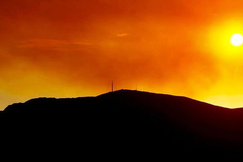Half-Day Mt Wellington Summit Tour From Hobart - Accommodation ACT 1