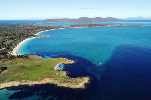 Maria Island Shuttle Bus Hobart To Triabunna (Round Trip) - Accommodation ACT 9