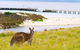 Maria Island Shuttle Bus Hobart To Triabunna (Round Trip) - thumb 8