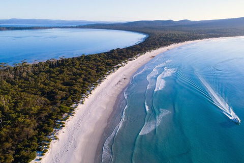 Maria Island Shuttle Bus Hobart To Triabunna (Round Trip) - Accommodation ACT 6