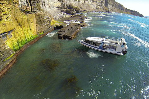 Maria Island Shuttle Bus Hobart To Triabunna (Round Trip) - Accommodation ACT 3