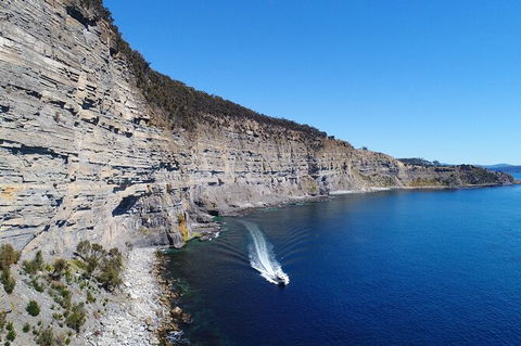 Maria Island Shuttle Bus Hobart To Triabunna (Round Trip) - Accommodation ACT 11