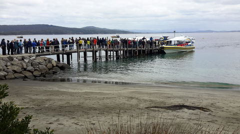 Full-Day Bruny Island Tour From Hobart - Accommodation ACT 4