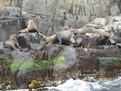 Full-Day Bruny Island Tour From Hobart - Accommodation ACT 2