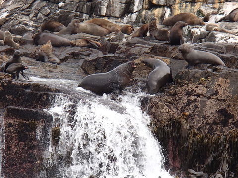 Full-Day Bruny Island Tour From Hobart - Accommodation ACT 21