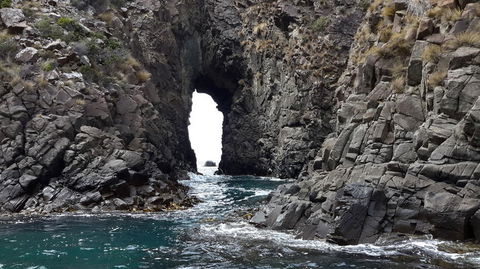 Full-Day Bruny Island Tour From Hobart - Accommodation ACT 8