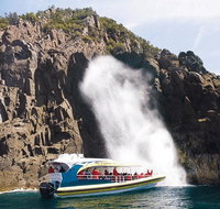 Full-Day Bruny Island Tour from Hobart - Accommodation ACT