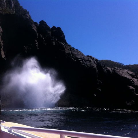 Full-Day Bruny Island Tour From Hobart - Accommodation ACT 18