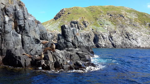 Full-Day Bruny Island Tour From Hobart - Accommodation ACT 6