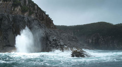 Full-Day Bruny Island Tour From Hobart - Accommodation ACT 22