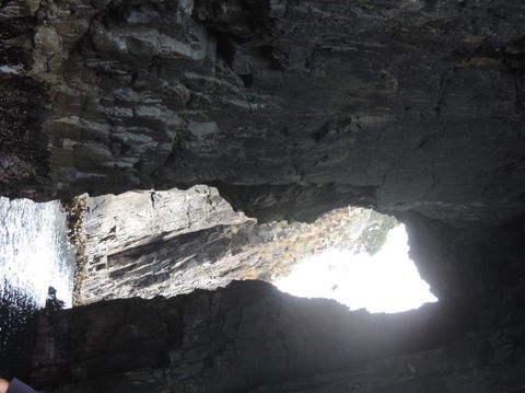 Full-Day Bruny Island Tour From Hobart - Accommodation ACT 9
