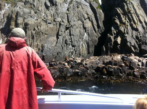 Full-Day Bruny Island Tour From Hobart - Accommodation ACT 19