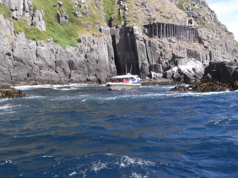 Day Trip To Tasman Peninsula And Port Arthur Historic Site From Hobart - Accommodation ACT 5