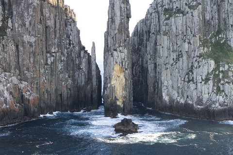 Day Trip To Tasman Peninsula And Port Arthur Historic Site From Hobart - Accommodation ACT 0