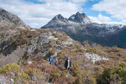 5-Day Tasmania West Coast Camping Tour: Hobart To Launceston Including Mount Field National Park, Tarkine And Cradle Mountain - Accommodation ACT 0