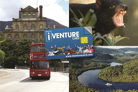 Tasmania Sightseeing Pass: Flexi 3 Pass - Accommodation ACT 0