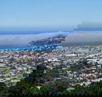 Hobart Shore Excursion Small Group Mount Wellington 3-Hour Bike Tour - Accommodation ACT