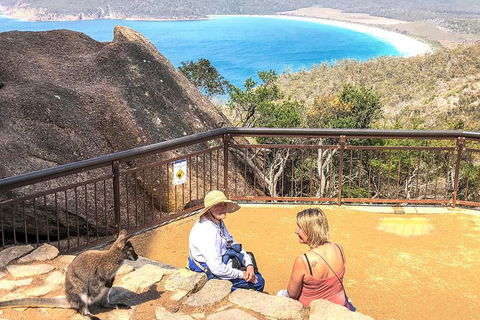 Wineglass Bay & Freycinet NP Full Day Tour From Hobart Via Richmond Village - Accommodation ACT 7