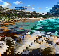 4-Day Tasmania East Coast Adventure from Launceston to Hobart Including Bay of Fires Wineglass Bay Bruny Island and Port Arthu - Accommodation ACT