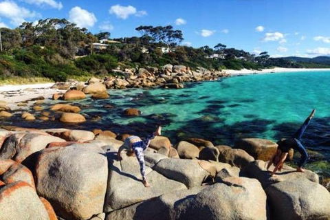 4-Day Tasmania East Coast Adventure From Launceston To Hobart Including Bay Of Fires, Wineglass Bay, Bruny Island And Port Arthu - Accommodation ACT 0