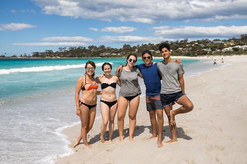 4-Day Tasmania East Coast Adventure From Launceston To Hobart Including Bay Of Fires, Wineglass Bay, Bruny Island And Port Arthu - Accommodation ACT 5
