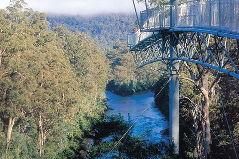 Small-groupTour From Hobart: Mt. Wellington, Huon Valley And Tahune AirWalk - Accommodation ACT 0