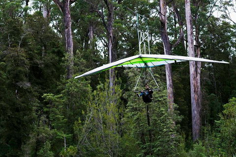 Small-groupTour From Hobart: Mt. Wellington, Huon Valley And Tahune AirWalk - Accommodation ACT 4