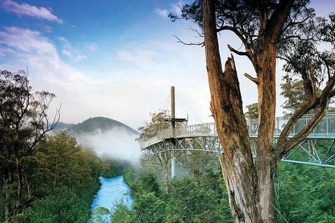 Small-groupTour From Hobart: Mt. Wellington, Huon Valley And Tahune AirWalk - Accommodation ACT 2