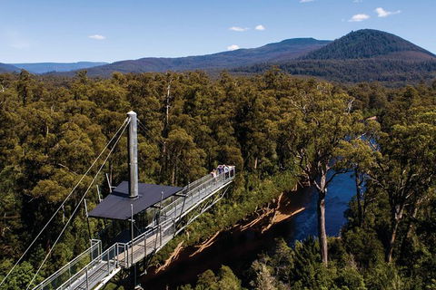 Small-groupTour From Hobart: Mt. Wellington, Huon Valley And Tahune AirWalk - Accommodation ACT 8