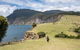 Maria Island National Park - Day Walk And Picnic Lunch - thumb 2