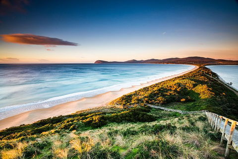 Full-Day Guided Bruny Island Tour From Hobart - Accommodation ACT 0