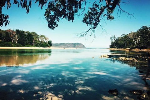 Full-Day Guided Bruny Island Tour From Hobart - Accommodation ACT 1