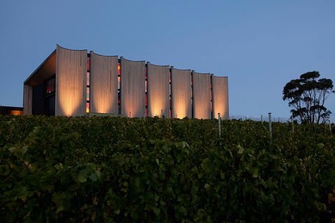 Moorilla Wine Meets Mona Art Day Trip - Accommodation ACT 10