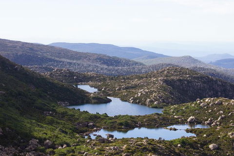 2-Day: Hobart Hiking Tour: Cape Raoul And Mount Field - Tarn Shelf - Accommodation ACT 9