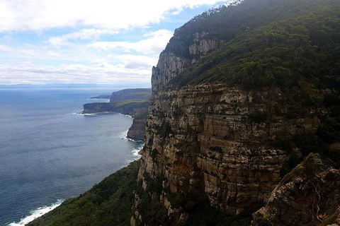 2-Day: Hobart Hiking Tour: Cape Raoul And Mount Field - Tarn Shelf - Accommodation ACT 7