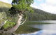 2-Day: Hobart Hiking Tour: Cape Raoul And Mount Field - Tarn Shelf - thumb 3
