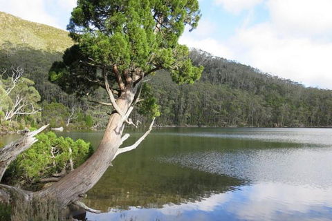 2-Day: Hobart Hiking Tour: Cape Raoul And Mount Field - Tarn Shelf - Accommodation ACT 3
